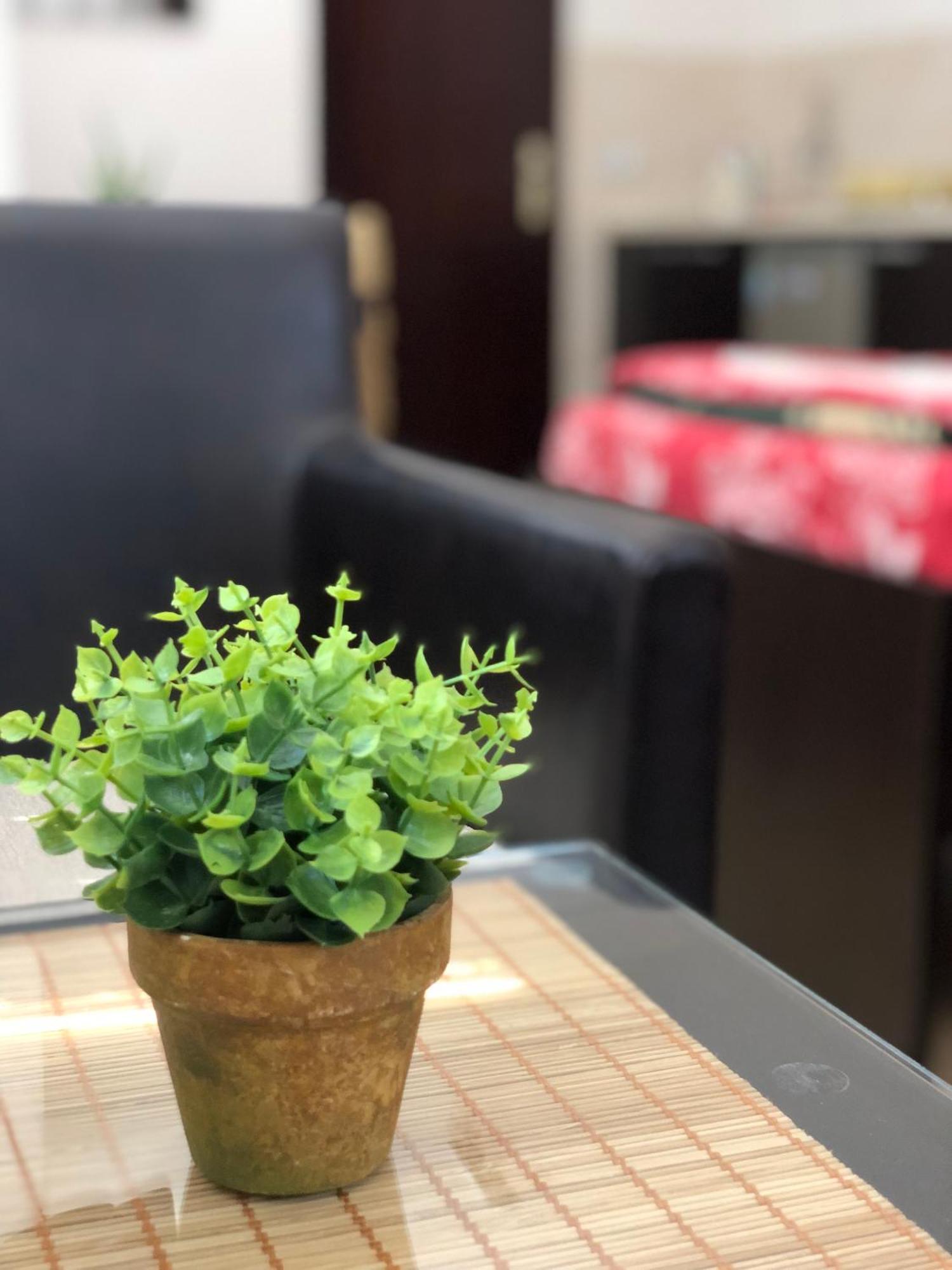 Katjel Apartments 奥赫里德 外观 照片